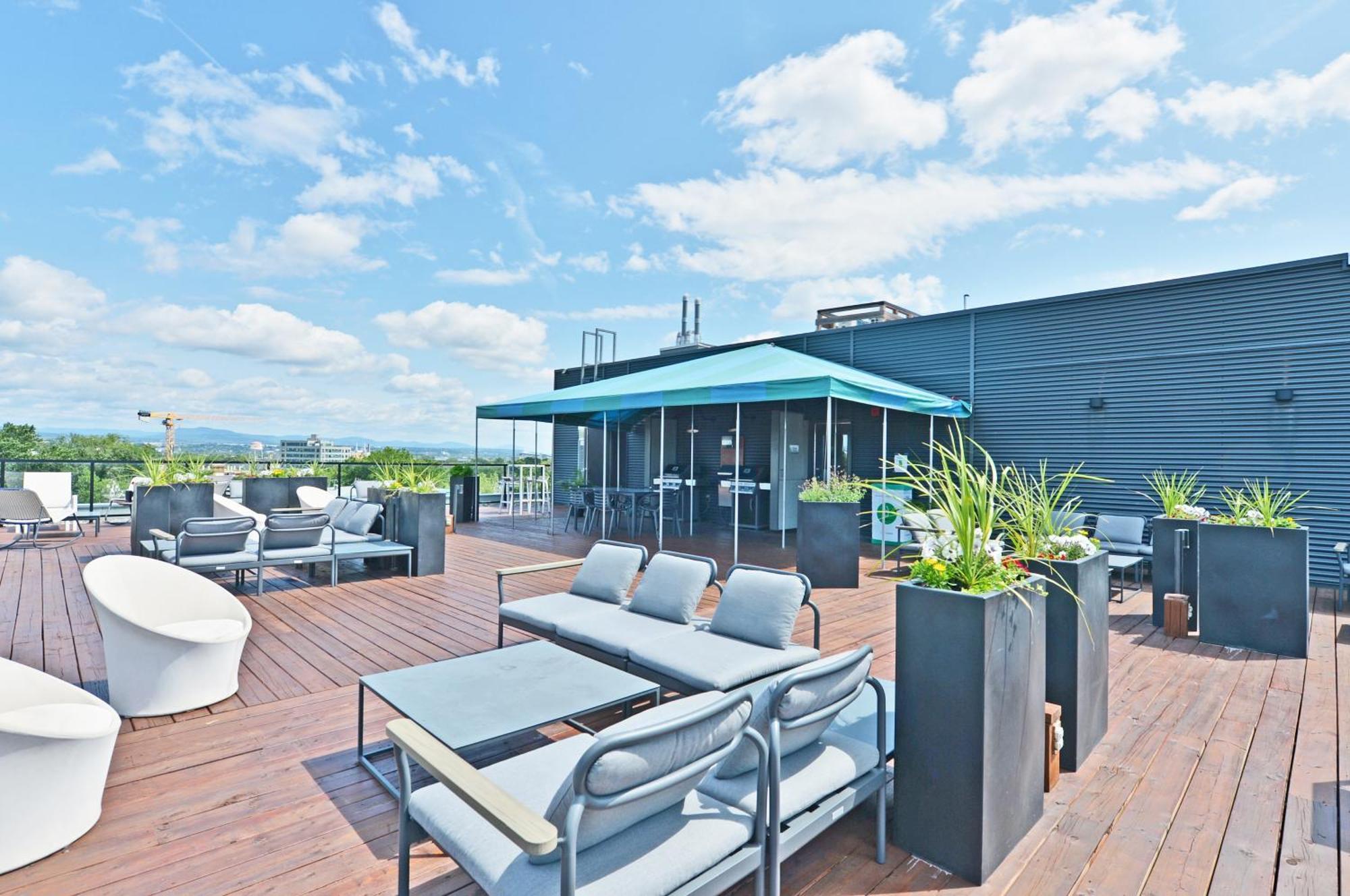 La Vie Est Belle: Free Parking, Gym, Rooftop Terrace Apartment